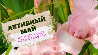 23|05|24 🌷Оформляю цветники, клумбы и горшки✨Волшебное преображение дорожки 🌿Высаживаю ЛИАНЫ❗️ИТОГИ