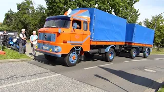 IFA Treffen Ludwigsfelde Verschiedene IFA W 50 und verschiedene IFA L 60