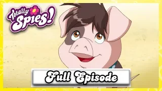 Dog Show Showdown! | Totally Spies - Season 6, Episode 11