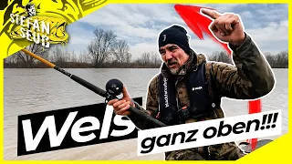 STEIF auf WELS ⁉️ | MEIN neues SYSTEM 😎 Sicher ANGELN über GRUND