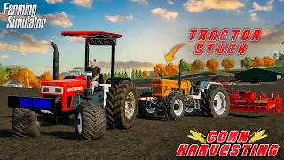 Corn Harvesting Day 2 | Tractor Stuck | Swaraj 855 | Happy Goldsmith