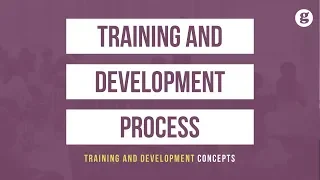 Training and Development Process