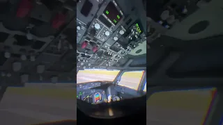 PMDG B737-800 Flightdeck in VR