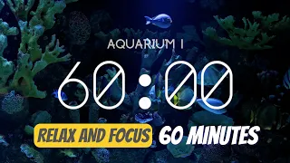 60 minute timer - Relaxing Aquarium atmosphere