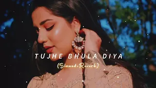 Tujhe Bhula Diya ~ Slowed Reverb | Mohit Chauhan & Shruti Pathak | Anjana Anjani | Slofi