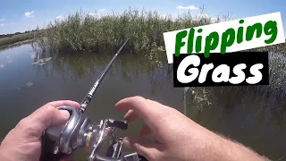 Bass fishing at Thabos dam Bronkhorstspruit (My First Ever Heavy Flipping & Punching Bass)