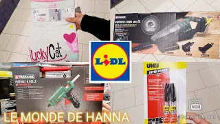 LIDL ARRIVAGE 02-08 NOUVEAUTÉS