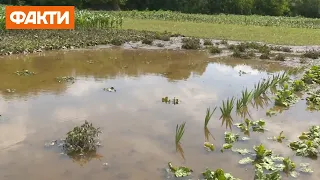 Сильні дощі та потопи у Вінницькій області: жителі втратили врожай