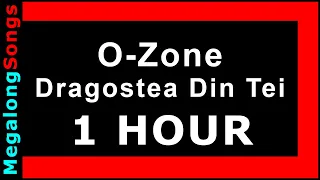 O Zone - Dragostea Din Tei [1 HOUR]