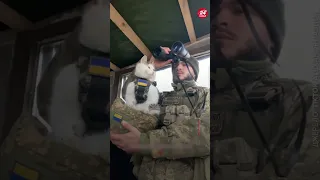 🥺 ПОТУЖНЕ підкріплення у ЗСУ / Милі кадри від воїнів