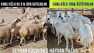 26.05.2023 CEYHAN KÜÇÜKBAŞ HAYVAN PAZARI #kurbanlıkfiyatları #kuzulukoyun#adak#kuzu #oğlak#köyhayatı