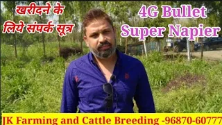 4g Bullet Super Napier Hara Chara@9687060777