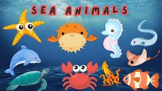 Sea Animals | Learn sea animals names in English | Kids vocabulary | English Educational Video | ABC