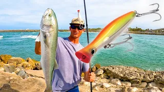 Something is Wrong with these Fish - Giant Bluefish ON DA POPPA!