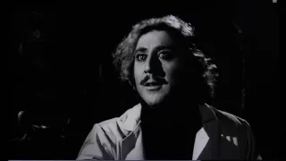 Young Frankenstein - Hello Handsome