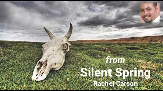 Silent Spring, Rachel Carson, My perspective,G7 Questions, Unit 4  ,Critical Analysis