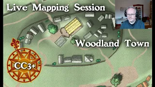 Live Mapping: Woodland Town