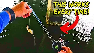 The EASIEST Way to Catch Sheepshead! (Catch, Clean, Cook) Ultimate Smoked Sheepshead Dip!