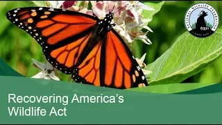 Recovering America's Wildlife Act Webinar