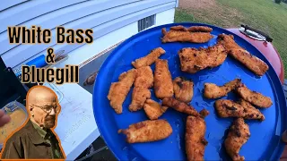 White Bass & Bluegill fish fry