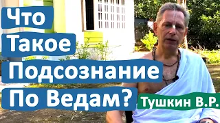 ЧТО ТАКОЕ ПОДСОЗНАНИЕ ПО ВЕДАМ? • ВАСИЛИЙ ТУШКИН