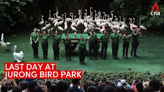 Jurong Bird Park's last day