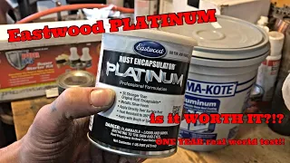 Eastwood PLATINUM Paint - WORTH IT?!? ONE YEAR TEST