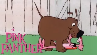 The Pink Panther | 30 Minute Dog Compilation