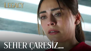 Yaman doesn't answer Seher's calls | Legacy Episode 262