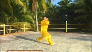KungFu: Mantis Form - Taichi Plum-blossom Style 太极梅花螳螂拳