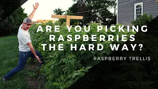 Easier Way to Pick Raspberries! | How to Build a Garden Raspberry Trellis