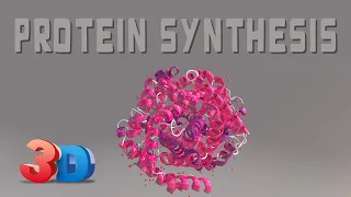 Protein Synthesis 101 (3D Animation)