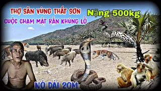 Rắn Hổ Mây Khủng Lồ Nặng Hàng Trăm Ký Trên Vùng Núi Thất Sơn / Thợ Săn Chạm Mặt Xà Tinh