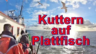 Plattfischangeln vom Kutter in Heiligenhafen. Schollen und Flundern satt mit der MS Einigkeit.