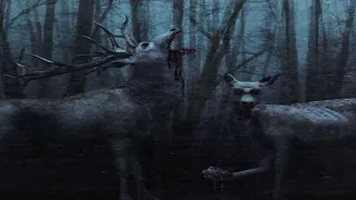 The Not Deer