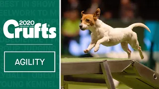 Agility | Crufts Team Small Final - Part One | Crufts 2020