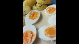 Eier in Senfsauce, Petersilienkartoffeln/Boiled eggs,Mustard sauce/Parsley potatoes.Daily meals