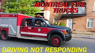 MONTREAL FIRE TRUCKS DRVING NOT RESPONDING MAY 2024
