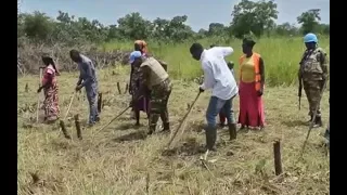 Birao: farming projects for the youths