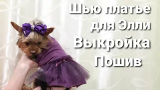 Платье для собачки (кошки) // Строим выкройку // Полный пошив