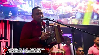 Yovanny Polanco - Sabes Que No (En Vivo 2022)