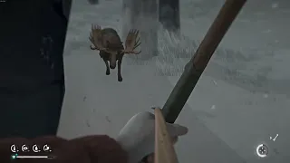 The Long Dark - Moose Hunt near Carter