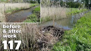 Manual Beaver Dam Removal No.117 - Cane And Singing Birds