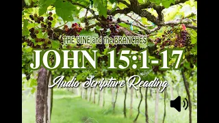 JOHN 15/ 1-17...THE VINE AND THE BRANCHES...(Audio Scripture Reading)