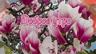 Доброе утро. Любви,здоровья и большой удачи.