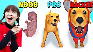 Hà Sam Chăm Sóc Chú Chó Từ Bé Đến Lớn Trong Dog Life Simulator