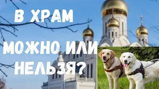 Собака-проводник в храме II Можно или нельзя?