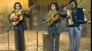 Trio Parada Dura - Homem de Pedra (Programa Viola, Minha Viola - 1980)