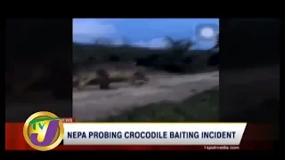 TVJ News: NEPA Probing Crocodile Baiting Incident - November 30 2019