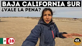 😱 This is how I REACT when I found a GRAY WHALE 👉 Goodbye BAJA CALIFORNIA SUR 🌎 Ep.28 #Mexico